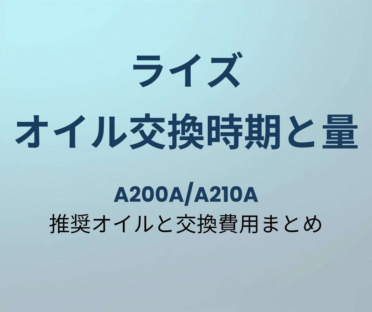 ライズ オイル交換時期と量