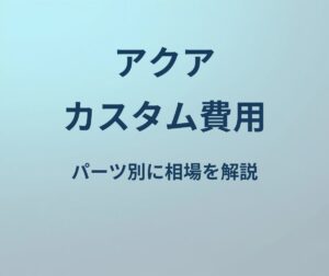 アクア カスタム費用