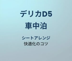 デリカD5 車中泊